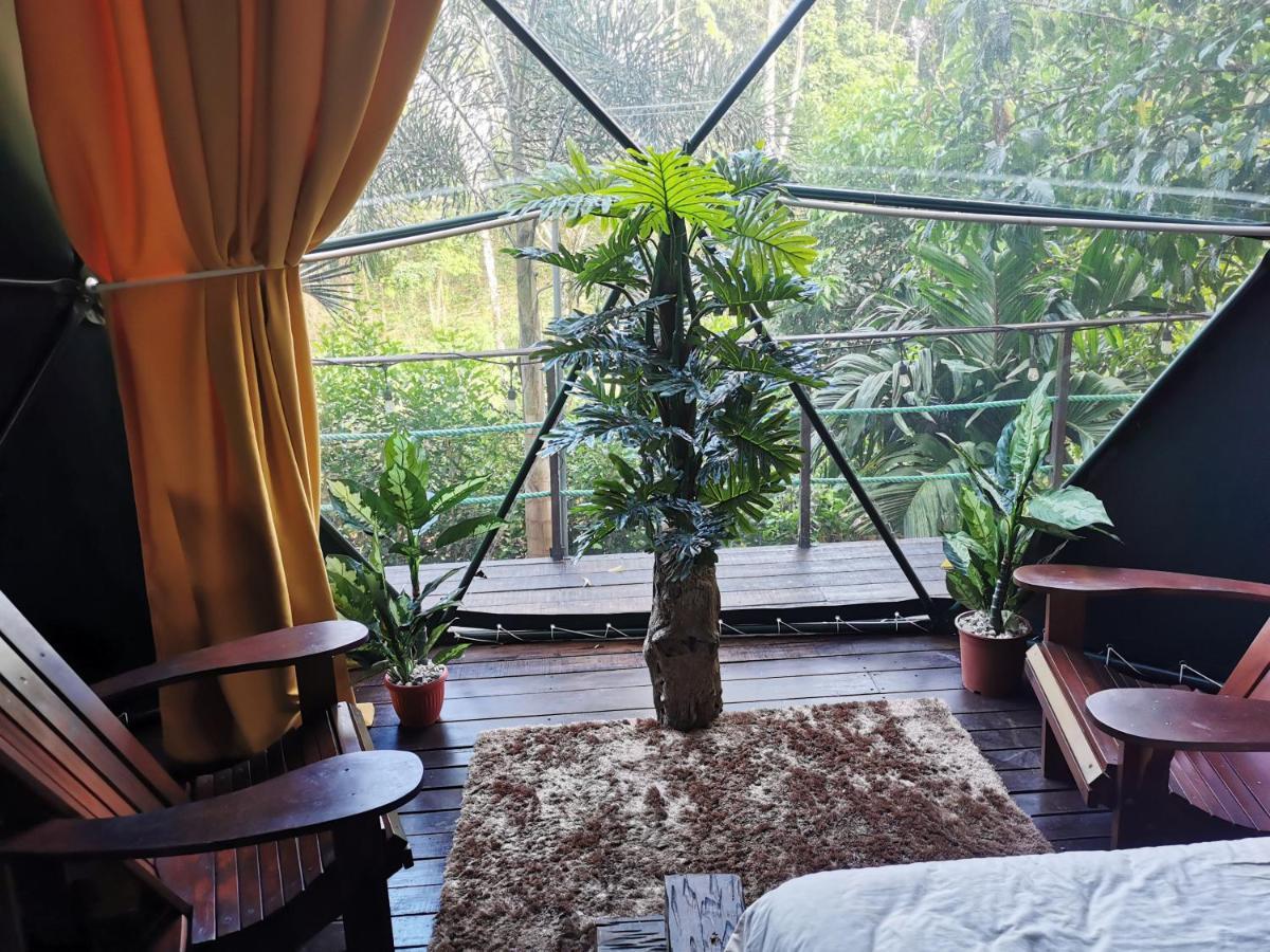 Hotel Momotus Glamping Florencia Esterno foto