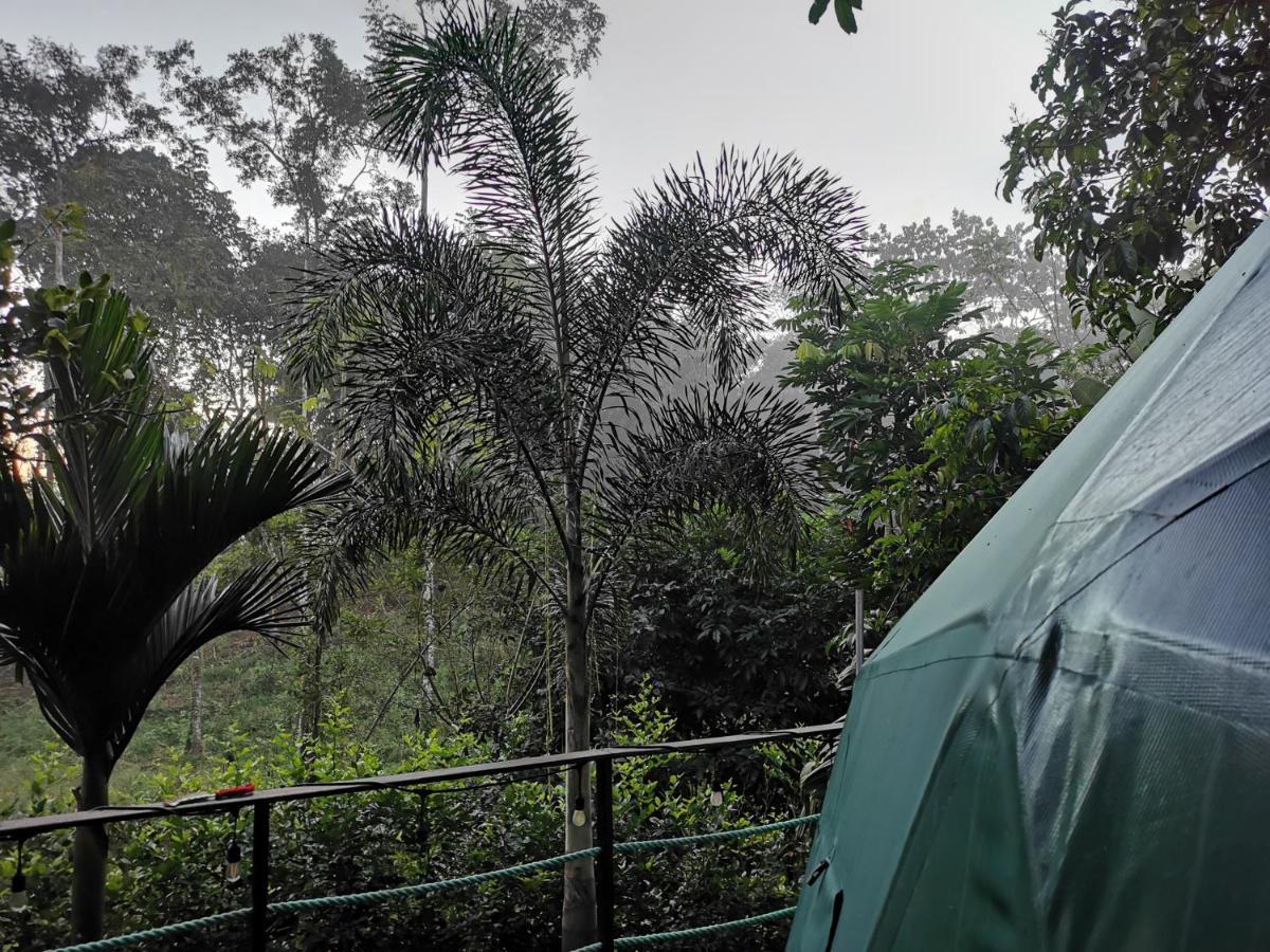 Hotel Momotus Glamping Florencia Esterno foto