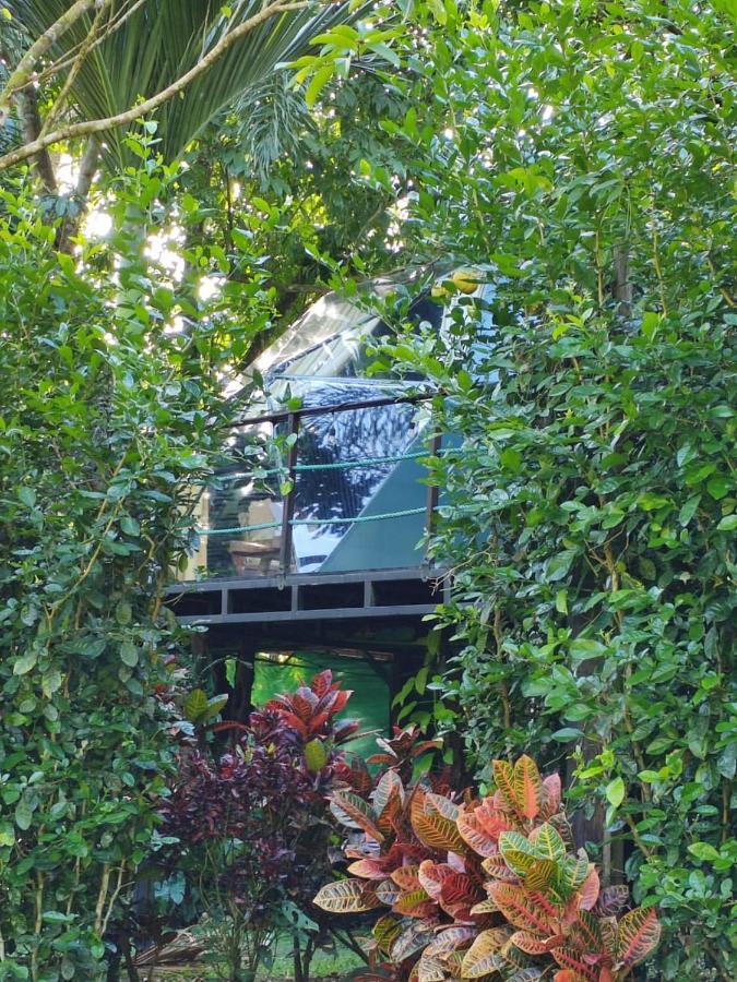 Hotel Momotus Glamping Florencia Esterno foto