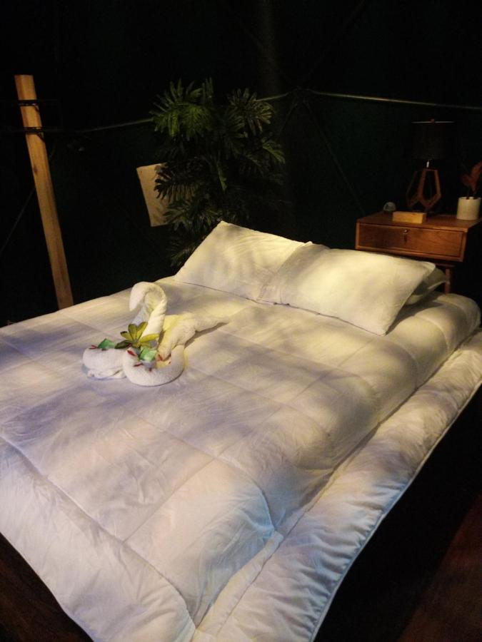 Hotel Momotus Glamping Florencia Esterno foto