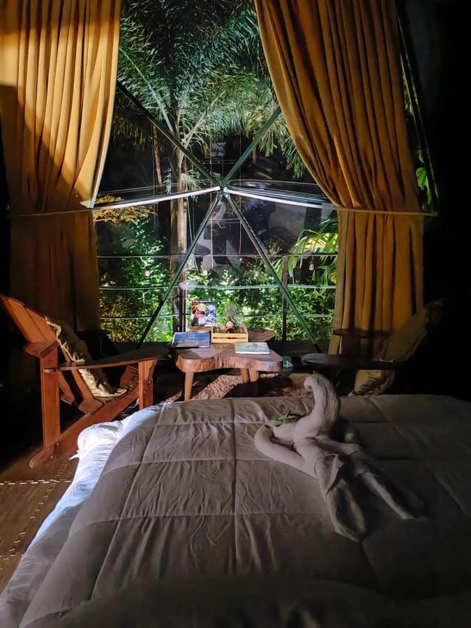 Hotel Momotus Glamping Florencia Esterno foto