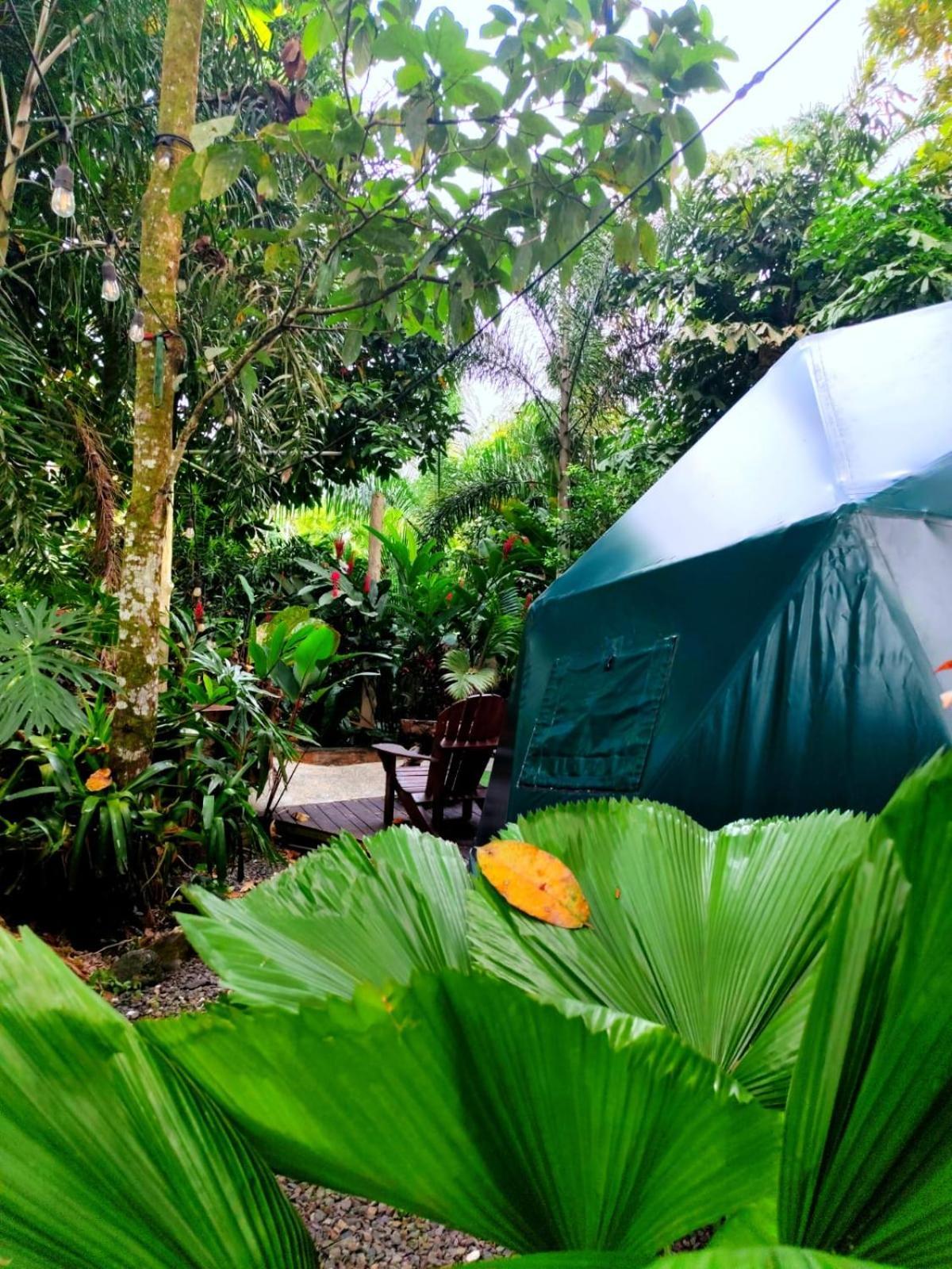 Hotel Momotus Glamping Florencia Esterno foto